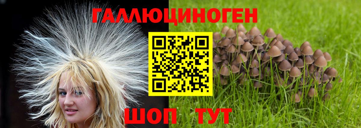 Псилоцибиновые грибы GOLDEN TEACHER Братск