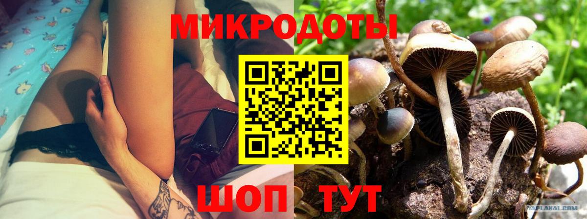 где купить наркотик  Вход с VPN  Братск  Псилоцибиновые грибы Cubensis 
